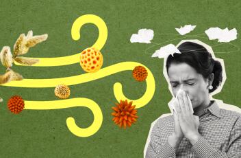 Сезонное обострение: как справиться с аллергией?