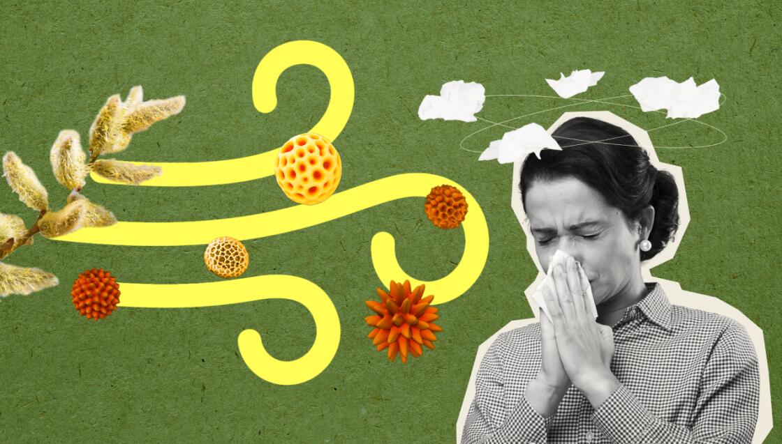 Сезонное обострение: как справиться с аллергией?: 