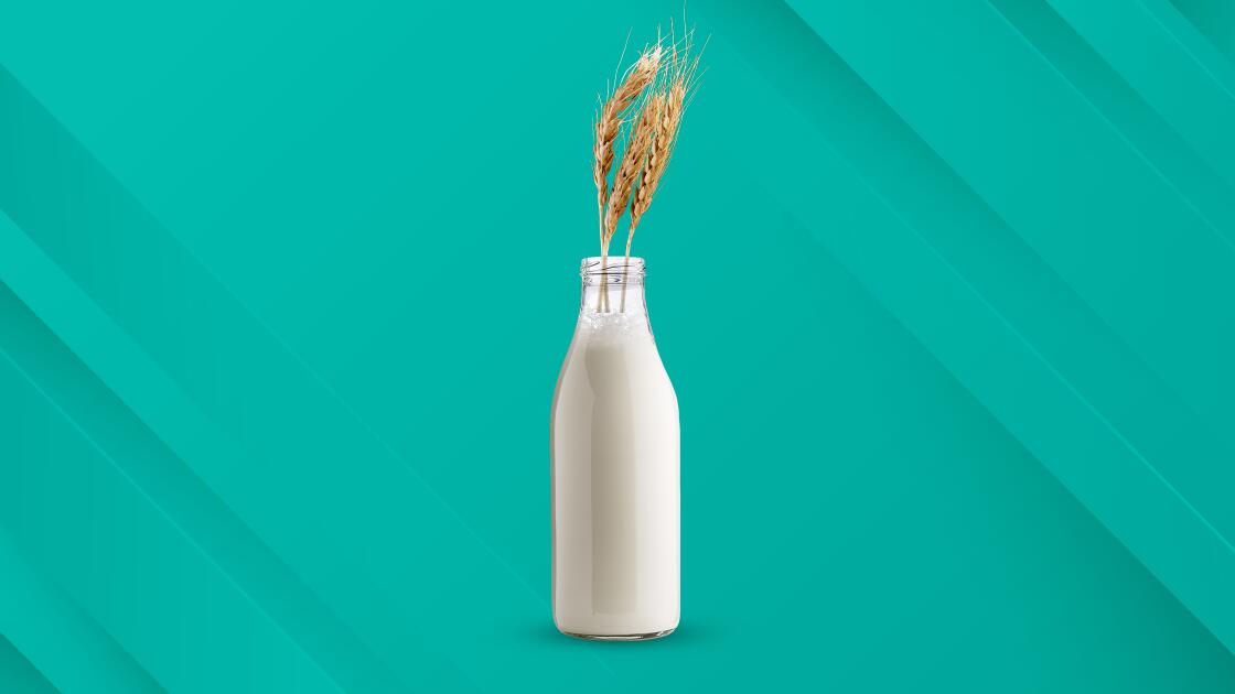 Гайд по растительному молоку: Тем, кто готов отправить буренок на пенсию
