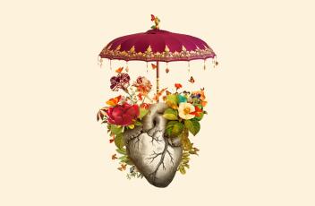 Здоровое сердце: 5 советов от именитого кардиолога Евгения Аверина